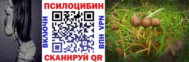 наркошоп  Урус-Мартан  Псилоцибиновые грибы мицелий 